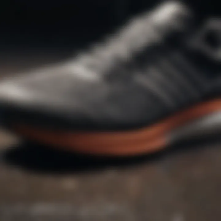 Durability test of Adidas running shoes on various terrains