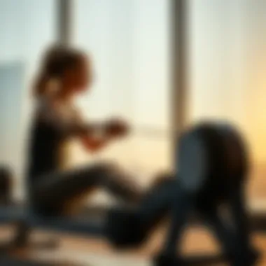 Notable Affordable Rowing Machine Reviews Notable Affordable Rowing Machine Reviews