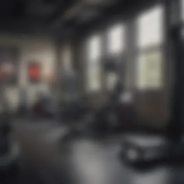 State-of-the-Art Fitness Equipment at Arod UFC Gym Close-up of fitness equipment available at Arod UFC Gym