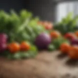 Vibrant assortment of fresh vegetables