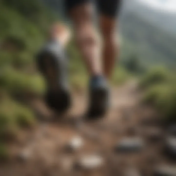 Runner navigating a scenic mountain trail