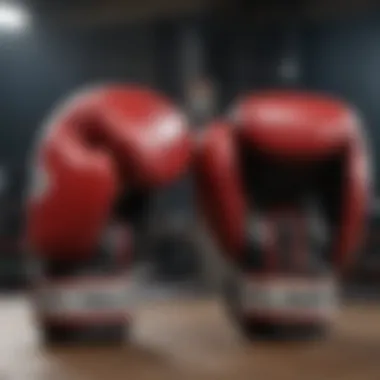 Diverse Styles of Boxing Gloves Comparison of different boxing glove styles, emphasizing unique features and designs