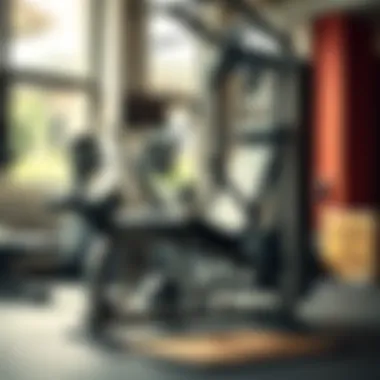 Comprehensive Guide to the Weight Leg Press Machine Summary Comprehensive Guide to the Weight Leg Press Machine Summary
