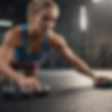 Visual representation of balanced fitness program components