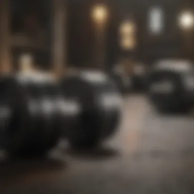 Effective Dumbbell Workout Routine Illustration of an effective dumbbell workout routine