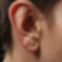 Anatomy of the ear with labeled parts