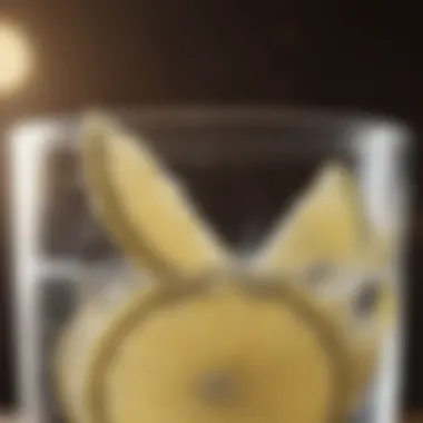 A glass of water with a slice of lemon.