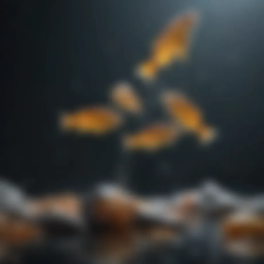 Nutritional composition of fish oils represented visually