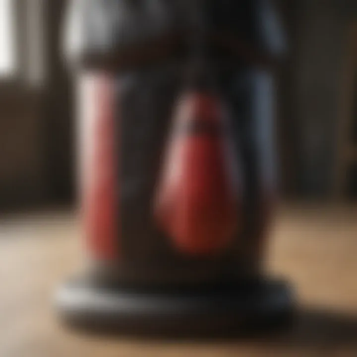 A detailed view of a high-quality free-standing punch bag showcasing its sturdy base and striking surface.