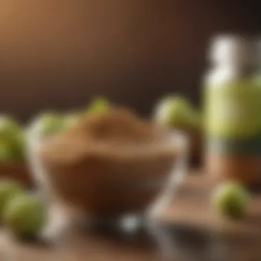 Nutritional chart highlighting benefits of gooseberry powder