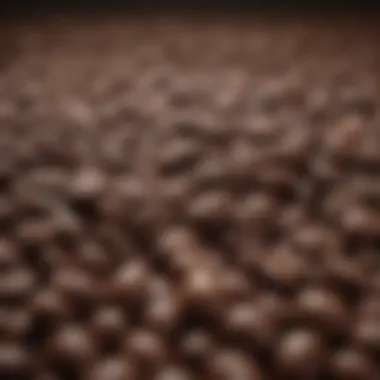 Coffee beans with antioxidant properties