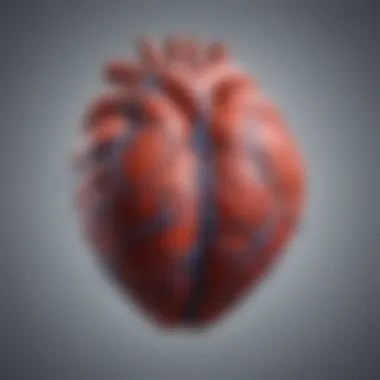 Heart and Brain Interconnection Illustration depicting the heart and brain connection