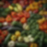 A vibrant display of seasonal Mediterranean vegetables including zucchini, eggplant, and bell peppers.