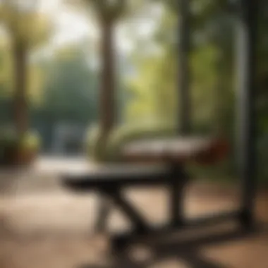 A weights bench positioned outdoors, illustrating alternative uses and the appeal of training in different environments.
