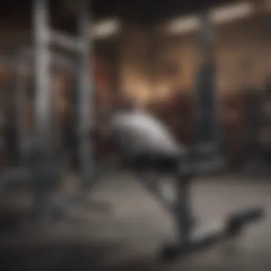Versatile Weights Bench in Action A sturdy weights bench set in a modern gym environment, showcasing versatility and strength.