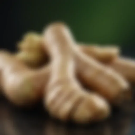 Close-up of fresh ginger root with a vibrant green background