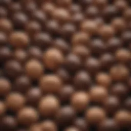 A variety of brain nuts showcasing their diverse shapes and colors