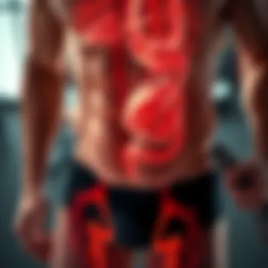 Biological Mechanisms of Fat Loss Visual representation of biological mechanisms of fat loss