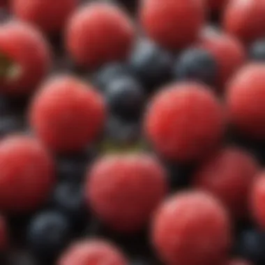 Colorful array of berries rich in antioxidants supporting liver function