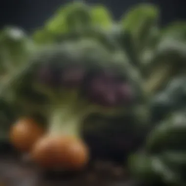 Nutritious cruciferous vegetables boosting liver enzyme production