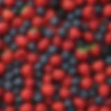 Vibrant assortment of fresh berries