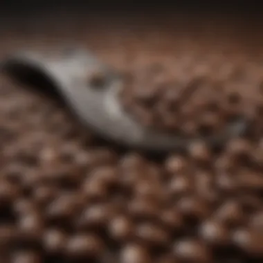 A close-up of coffee beans with a measuring scale
