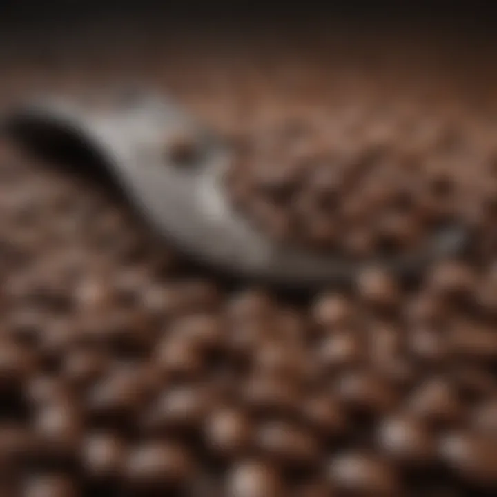 A close-up of coffee beans with a measuring scale