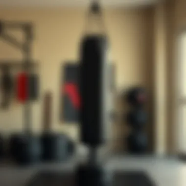 Installation Setup in a Home Gym Installation setup of a heavy punching bag in a home gym