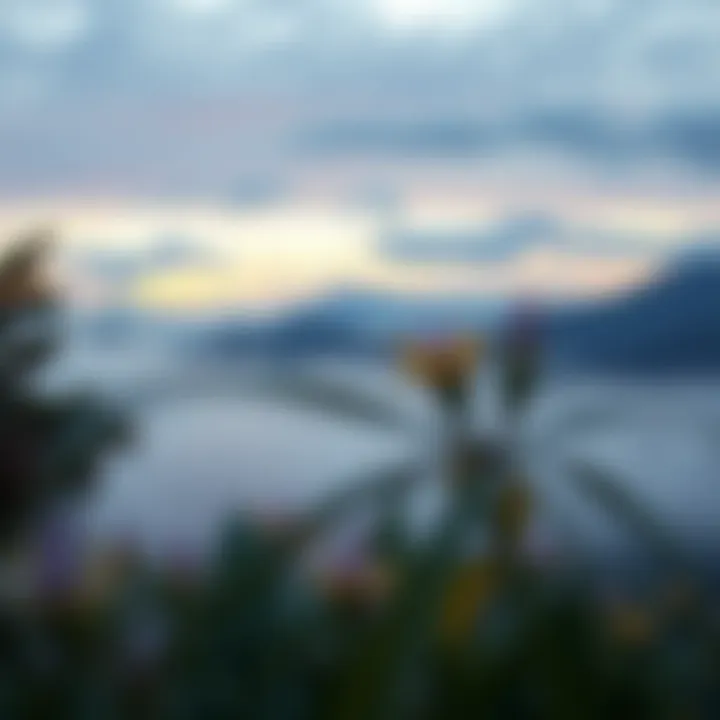 A serene landscape encouraging mindfulness and mental wellness.