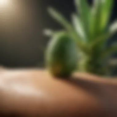 Aloe Vera Application Applying aloe vera to a bug bite