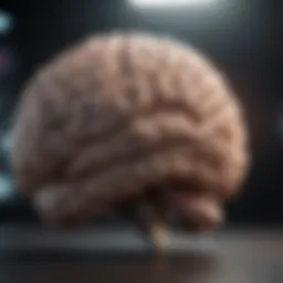 Visual representation of brain activity during wakefulness