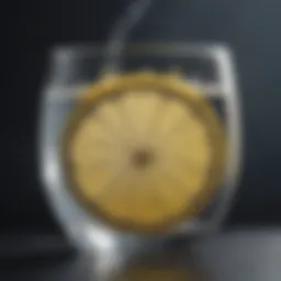 A refreshing glass of water with a slice of lemon, symbolizing hydration.