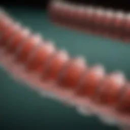 Illustration of an STD timeline