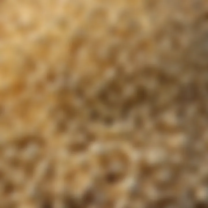 Variety of popcorn flavors and types