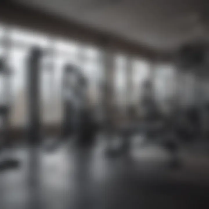 Fitness tools and equipment available at Blink Fitness