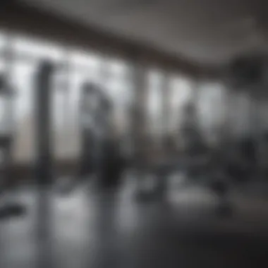 Diverse Fitness Equipment at Blink Fitness Fitness tools and equipment available at Blink Fitness