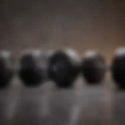 A diverse range of dumbbells showcasing various weights and designs