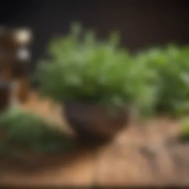 A selection of fresh herbs known for their anti-inflammatory properties, arranged aesthetically on a wooden surface.