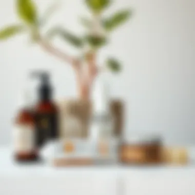 Holistic Approach to Foot Health Foot care essentials displayed beside a plant