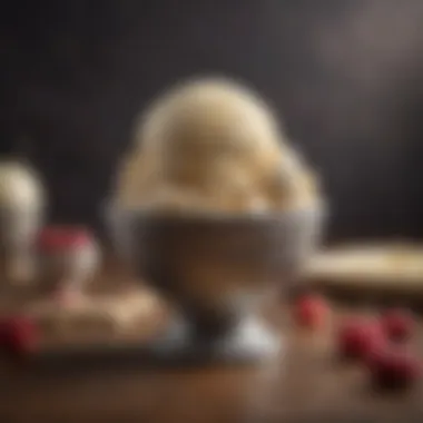 Dairy-Free Ice Cream Varieties Dairy-free ice cream varieties in bowls