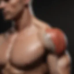 Anatomy of shoulder muscles illustrated