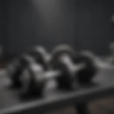Close-up of dumbbells on a workout bench