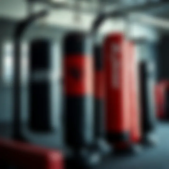 Different Types of Standalone Heavy Punching Bags Various types of standalone punching bags displayed side by side