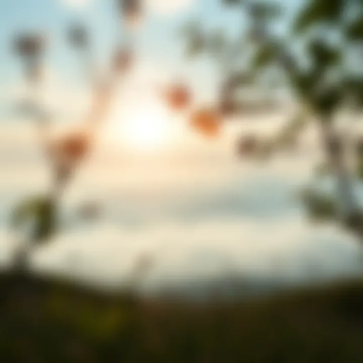 A serene landscape illustrating the connection between nature and mental well-being.