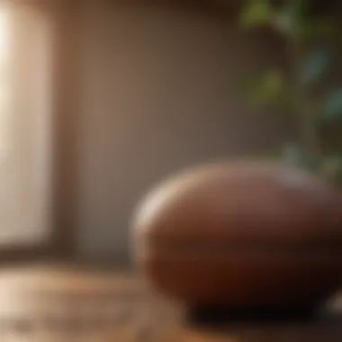 Mindful Wellness Peaceful setting depicting mindfulness and relaxation practices.