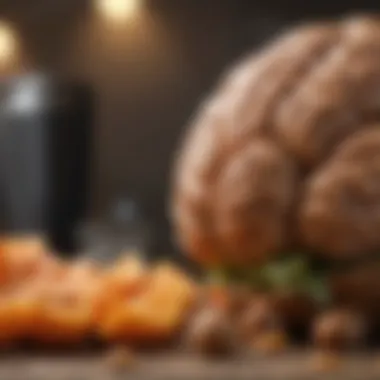 Variety of nutritious foods symbolizing brain health