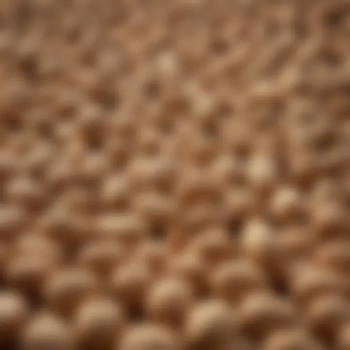Detailed illustration of the carbohydrate composition in peanuts