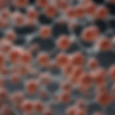 Biochemical Structure of Protein and its Impact Illustration of the biochemical structure of protein