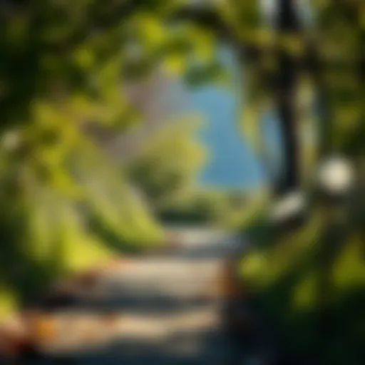 Embrace Nature: The Beauty of Walking Paths Scenic path encouraging daily walks