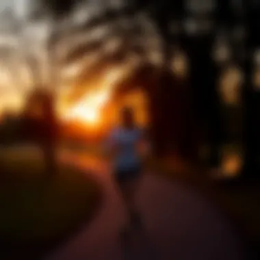 Evening Serenity: Walking at Sunset Individual walking in a park during sunset